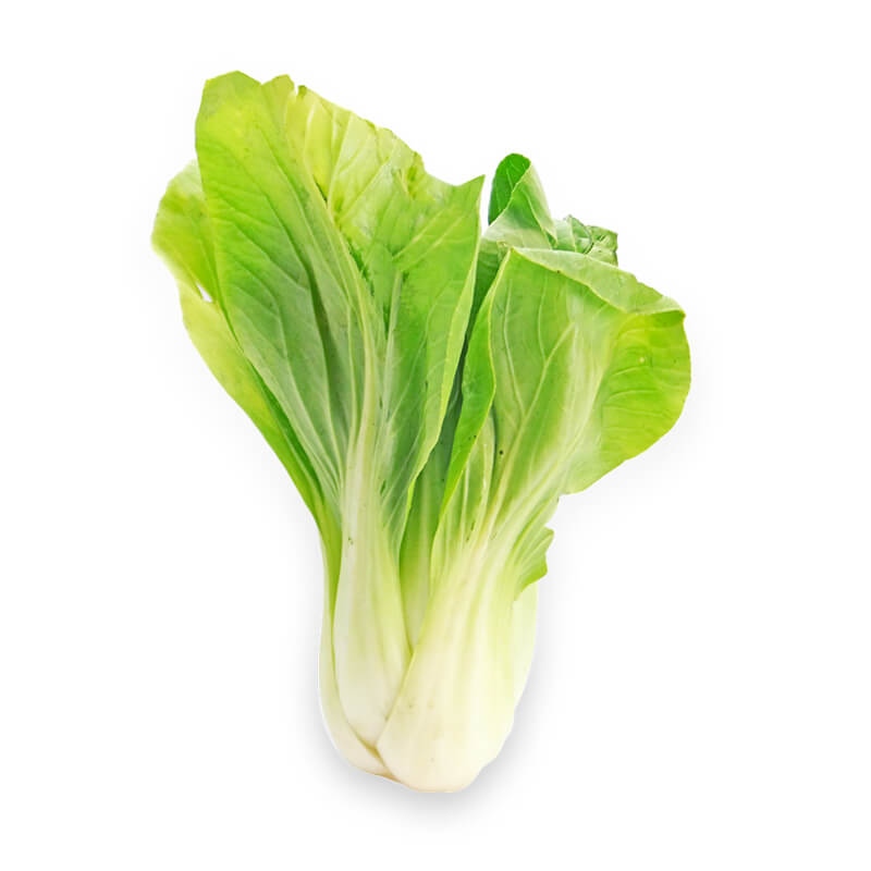 白菜